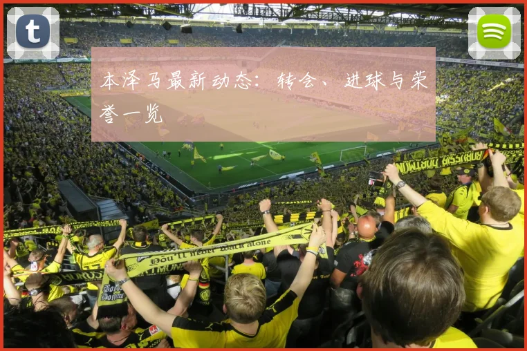 本泽马最新动态:转会、进球与荣誉一览